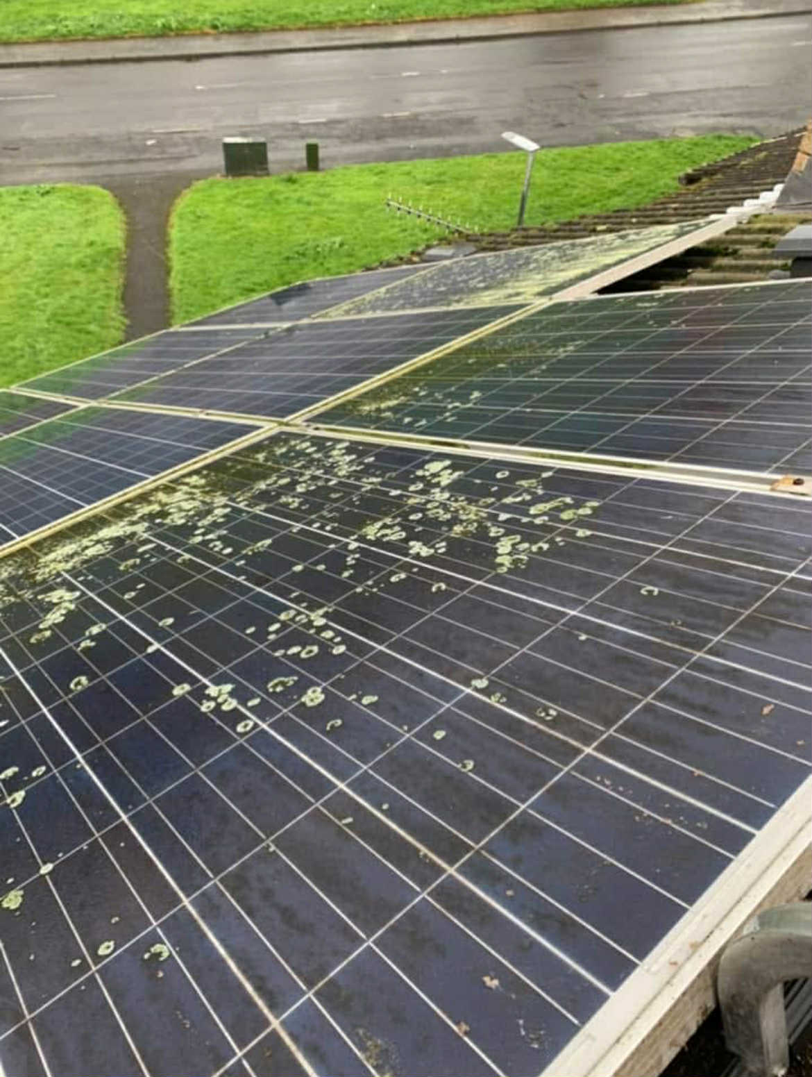 Solar panel cleaning in Derry/Londonderry by WJV Property Services